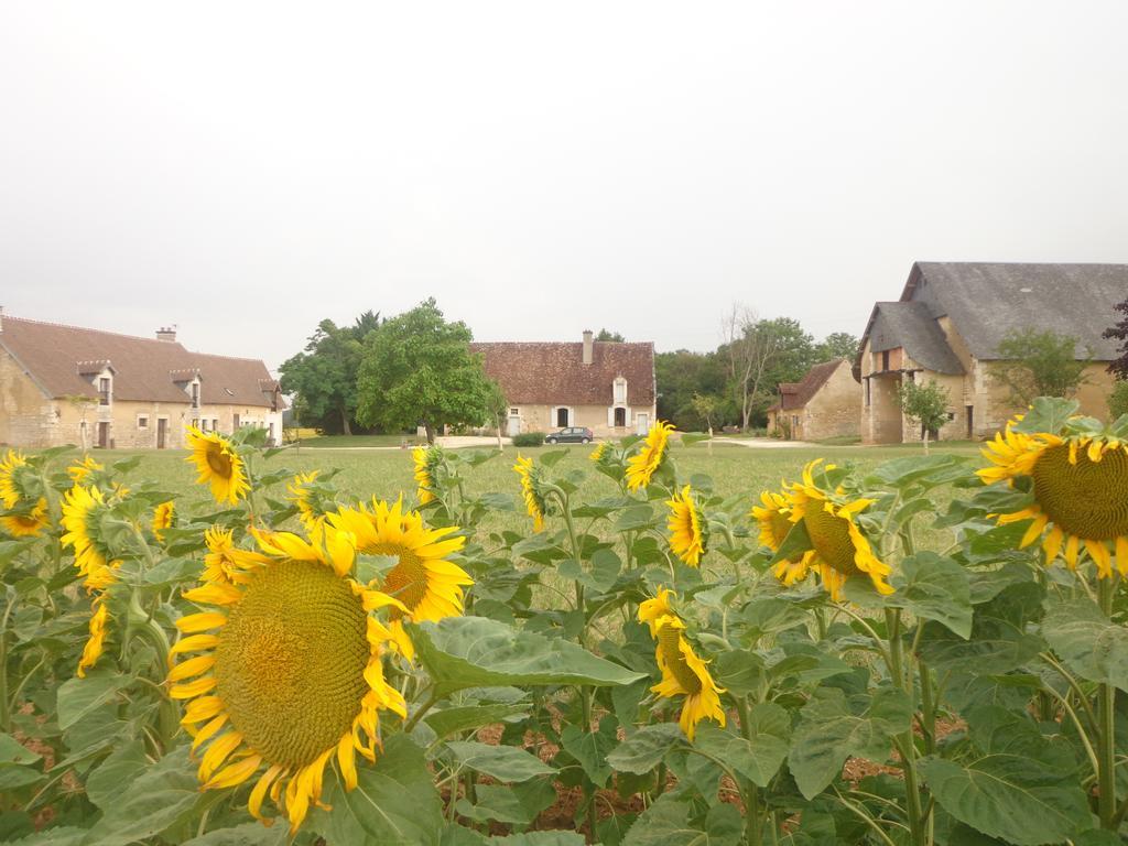 Gite Et Chambre D'Hotes Du Guillot Sainte-Solange Exterior photo